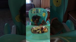 Ринусины успехи👌🐒🤗