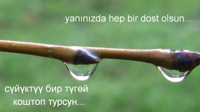 Happy 8 March Women's Day! | 8 March Women's Day! | International Women's Day