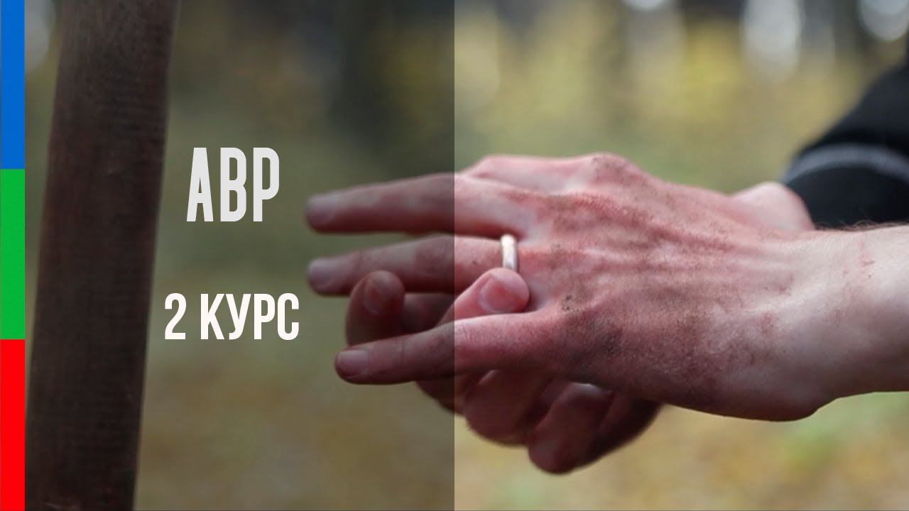 ДО22 Карецкий АВР3 Оставить