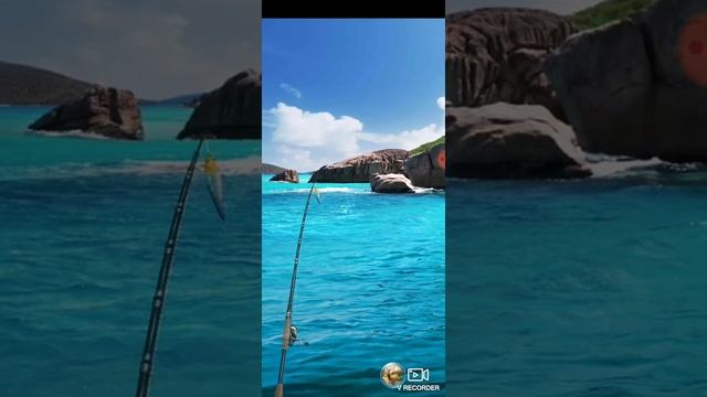 Let's Fish. Азия. Южно-Китайское море смотреть онлайн