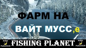 Fishing Planet - фарм на озере Вайт Мусс