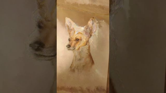 Мини видео чихуахуа :) (рисунок мой). Всем приятного просмотра. ❤😁👍🥰 смотреть онлайн