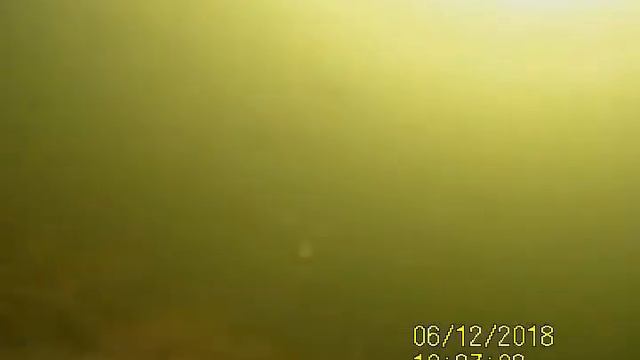 Верх-Нейвинский пруд. Нерест плотвы (чебака) и леща.Часть 2. смотреть онлайн