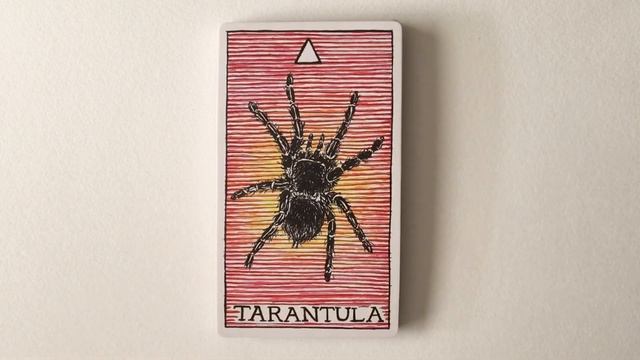 The Wild Unknown Animal Spirit Oracle | Flip Through смотреть онлайн