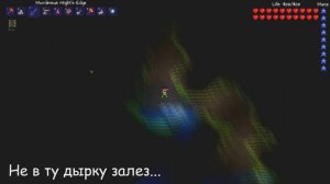 Terraria. Где растёт лунный цветок (Moonglow)?