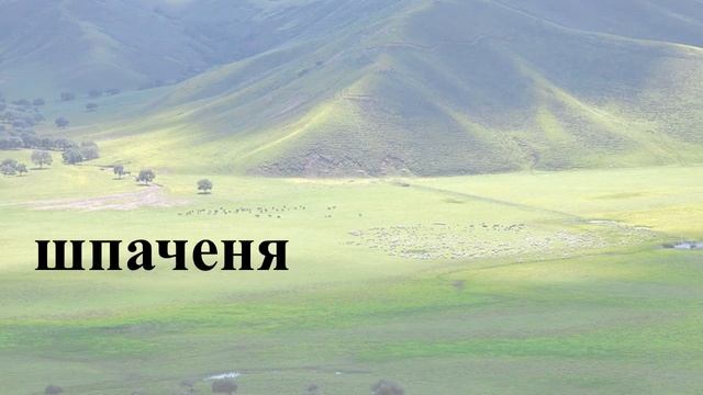 Навчаю дитину читати. 7 букв #2. смотреть онлайн