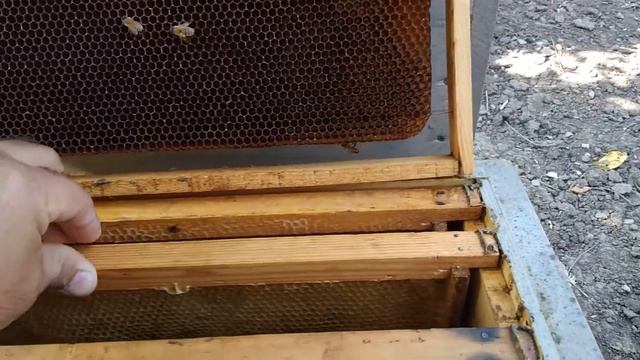 сохранение суши, состояние полосок смотреть онлайн