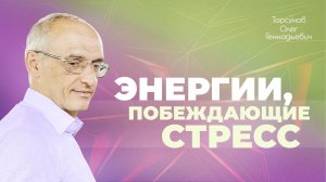 Выход из стресса: правильная вера орошает сердце счастьем (Торсунов О. Г.)