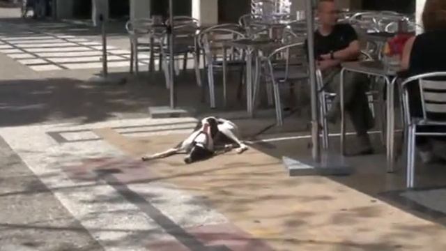 Собаки Испании смотреть онлайн