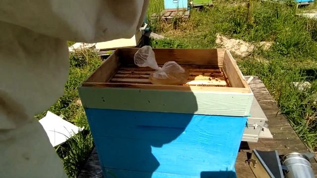 Подкормка пчелиных отводков сахарным сиропом. Типы кормушек. смотреть онлайн