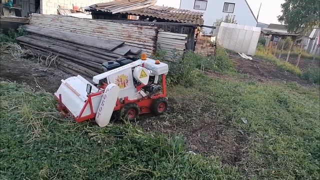 Косилка-мульчер на радиоуправлении. Косим траву выросшую после дождя.