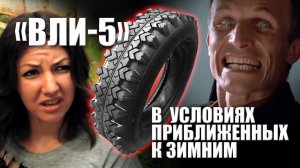 ВЛИ-5 в максимально приближенных  к зимним условиях