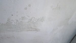 как избавиться от плесени на потолке, на стенах