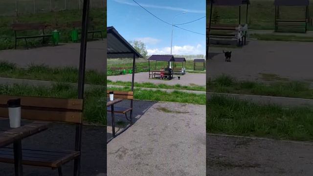 Оборудованные стоянки на трассе М4 Дон. смотреть онлайн