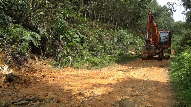 Large Excavator Working Meet Long Python With Eggs / Catch Big Snake With Eggs Use Excavator смотреть онлайн