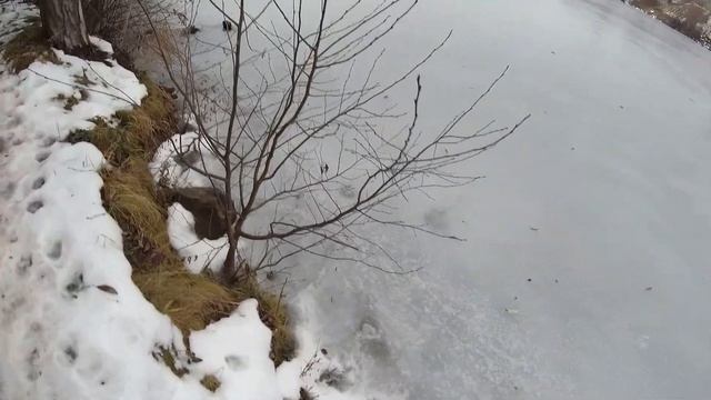 Бегу через препятствия. Жду лыжный сезон#бег#213 смотреть онлайн