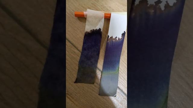 Comparación de pigmentos entre alcatraz, singonio, muicle (experimento cromatografía) 6