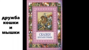 дружба кошки и мышки