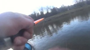 Трофейная рыбалка в Омской области