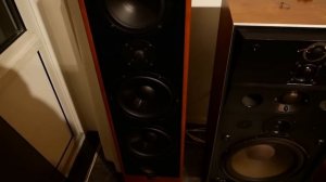 The incredible Canton ergo RC-L. Undisputed the cheapest high end speaker  ever built