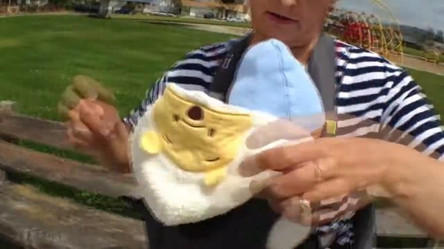 переноска смотреть онлайн