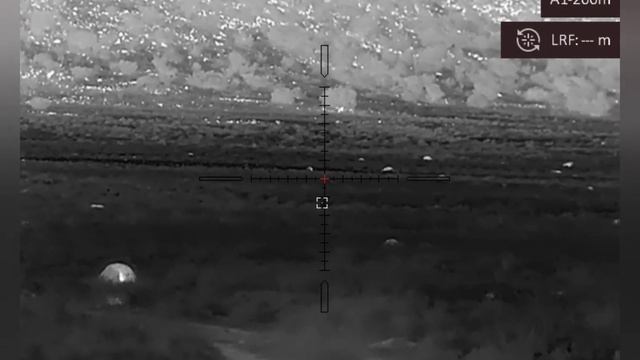 Hikmicro Stellar SQ50 Thermal Rifle Scope. Jackal Hunting смотреть онлайн