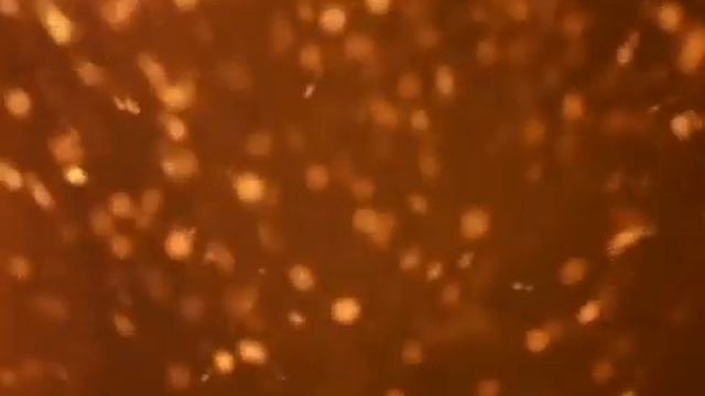 Б.Васильев "Белая зима", читает Ирина Рыжакова (МОТДиК, Ногинск) смотреть онлайн