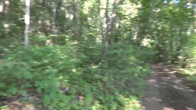 Рассвет. Сторожевое Титчиха.