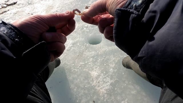 Рыбалка в Тавричанке камбала Full HD смотреть онлайн