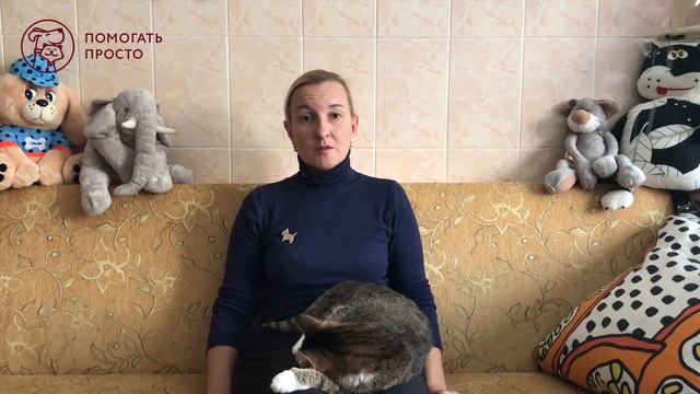 Фонд помощи бездомным животным «ЗООзащита» | Важные вопросы смотреть онлайн