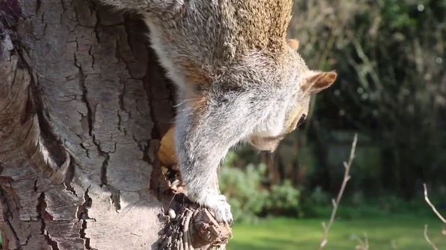 موسيقى بيانو ناعمة موسيقى هادئة موسيقى هادئة تبعث على الاسترخاء смотреть онлайн