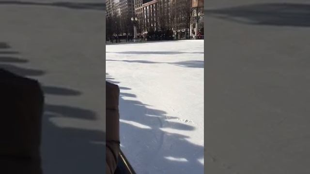 "Erica Hartl Skating Exhibition - Millennium Park 2/6/2016 смотреть онлайн