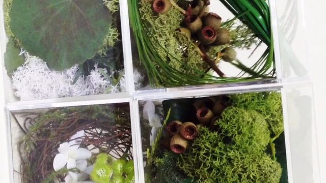 cubic green смотреть онлайн
