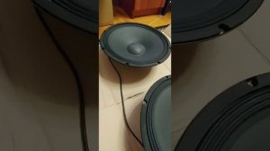 Динамик LEEM 15" мидбас звук