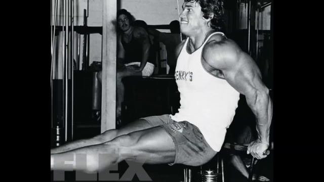 Old Is Gold...Arnold Complete Workout Of Triceps...