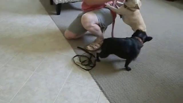 Chaos at walk-time смотреть онлайн