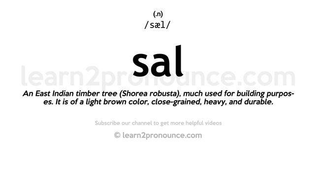 Pronunciation of Sal | Definition of Sal смотреть онлайн