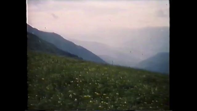 природные сообщества 9-11КЛ смотреть онлайн