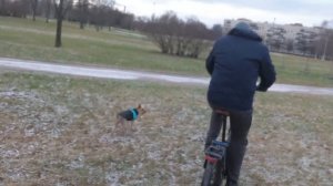 Складной велосипед Shulz на 24 колесах