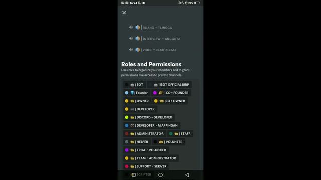 SHARE TAMPLATE DISCORD GRATIS ?? смотреть онлайн