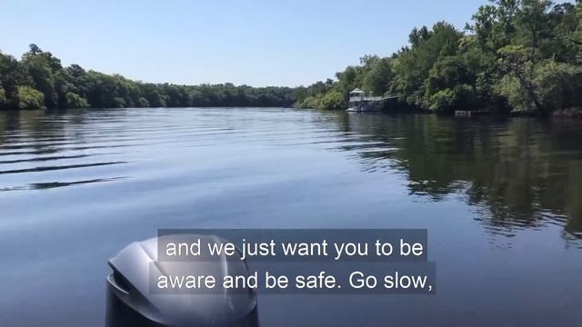 Watch for Jumping Sturgeon! смотреть онлайн