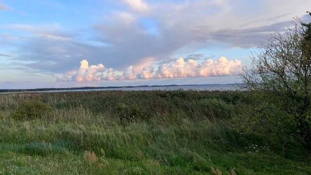 Стих: благодарности мало смотреть онлайн