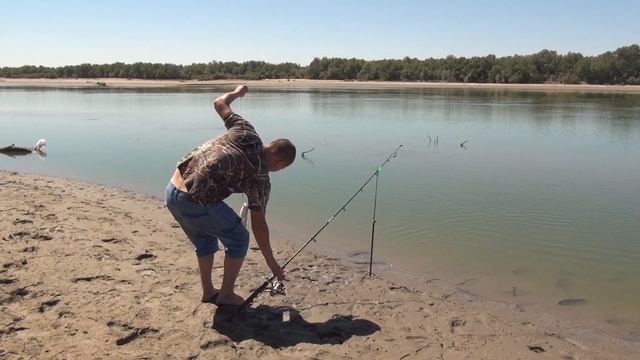 Река Сыр-Дарья. Рыбалка Сырдарья 2020. Отдых на природе. Ловим сазана.Часть 1. смотреть онлайн