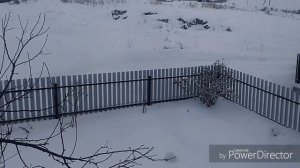 Хурма, вырастет ли она на Урале?