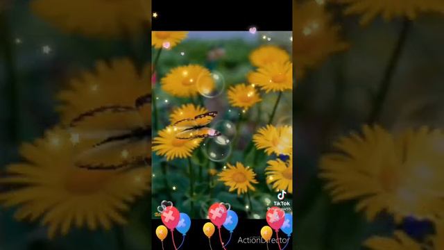 дорогая Виктория с днем рождения тебя 🎂🎂🎂🎂💐💐💐💐💐🥂🥂🥂🥂🌹🌹🌹🌹🌹🌹🌹🌹❤❤❤❤🌹 смотреть онлайн
