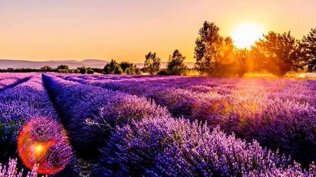 Миллионер привел бедную сироту в самый дорогой ресторан и сбежал не заплатив, то было дальше - шок смотреть онлайн