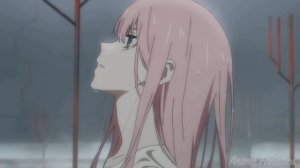 Любимый во Франксе  {AMV} - Lovely