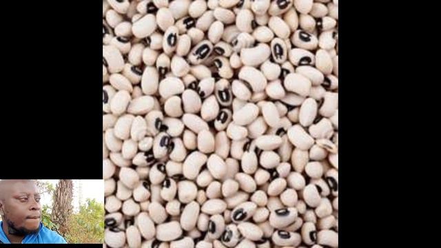 Get 41 pieces of BEANS and Do this immediately you wake up in the morning. Don't joke with this. смотреть онлайн