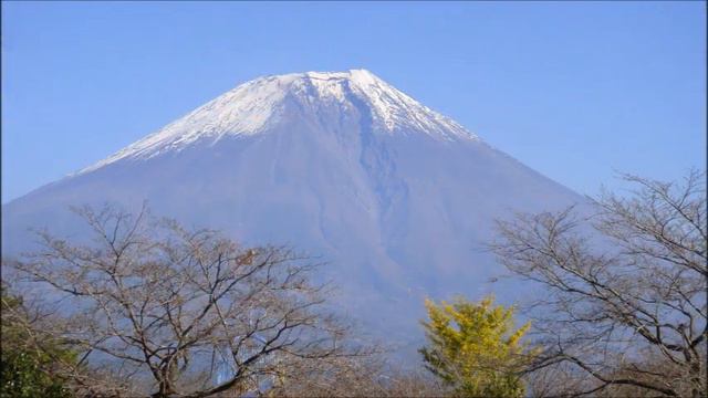 「愛の水中花」　松坂慶子　cover　清紅 смотреть онлайн