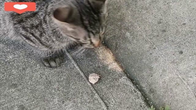 Кто это? смотреть онлайн